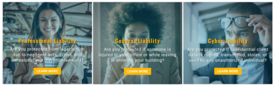 Professional Liability, general Liability Cyber liability